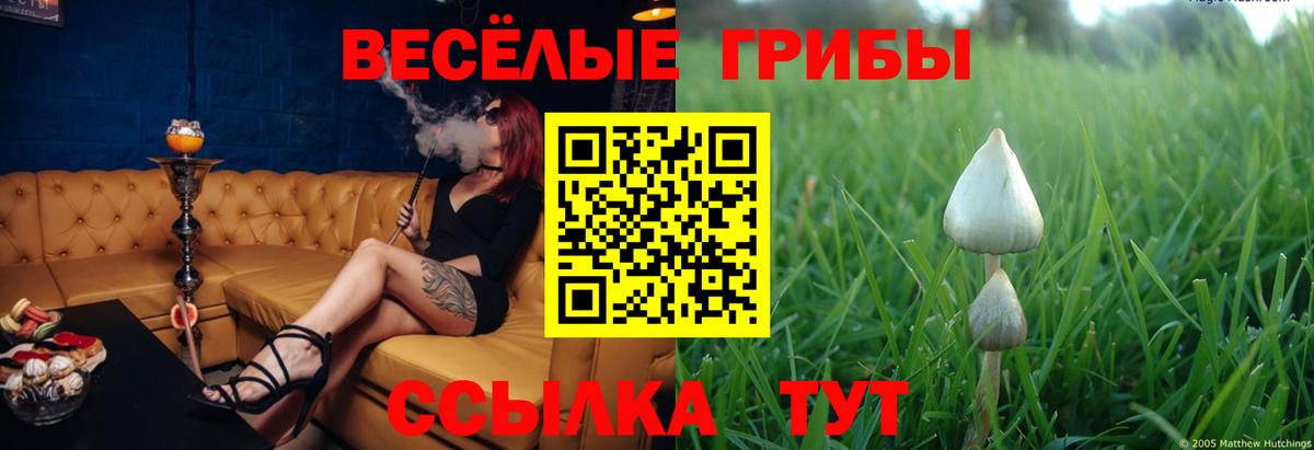 Кисловодск  Псилоцибиновые грибы Psilocybine cubensis  Вход с VPN  Галлюциногенные грибы Cubensis 