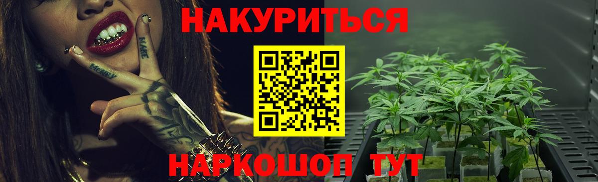 Кисловодск  Шишки марихуана сатива  Вход с VPN  Шишки марихуана THC 21% 